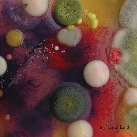 Warelis, Marta: Grain Of Earth [CD]
