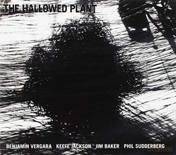 Vergara: Hallowed Plant [CD]