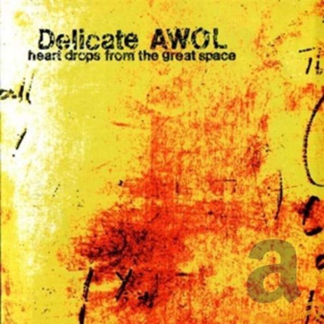 Delicate Awol: Heart Drops From The Great Space [CD]