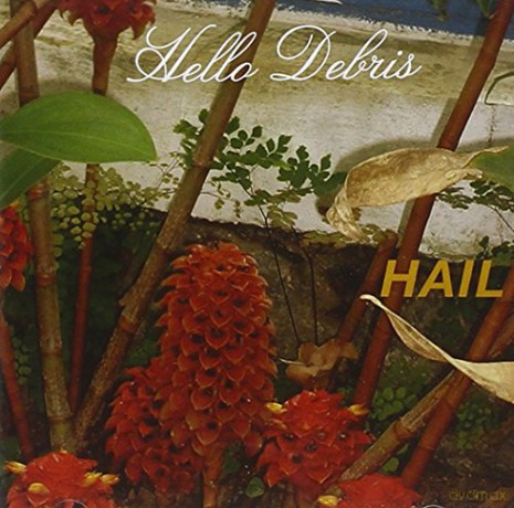 Hail: Hello Debris [CD]