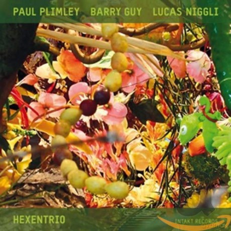Paul Plimley - Barry Guy - Lucas Niggli: Hexentrio [CD]