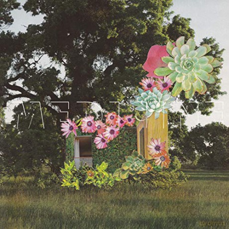 Medicine: Home Everywhere [CD]