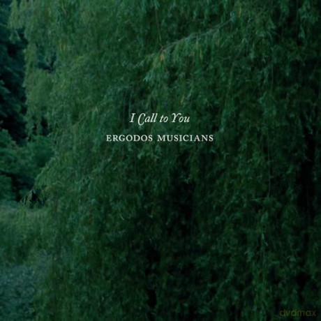 Ergodos Musicians: I Call To You [CD]