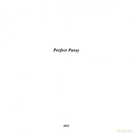 Perfect Pussy: I Have Lost All Desire For Feeling [CD]