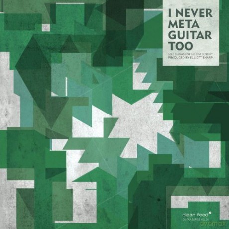 I Never Metaguitar Too... [CD]