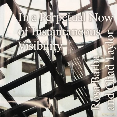 Barba, Rosa/Chad Taylor: In A Perpetual Now Of Instantaneous Visibility [CD]