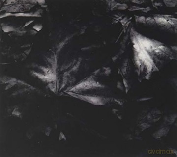 Like The Snow: Like The Snow (Ltd. 200 Copies) [CD]