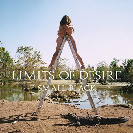 Small Black: Limits Of Desire [CD]