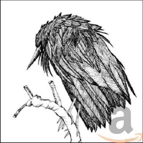 Spiral Joy Band: Little Sparrow [CD]