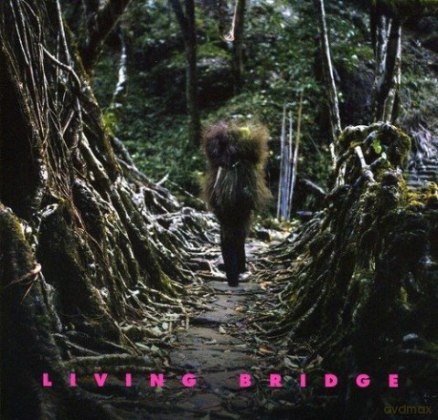 Living Bridge [2CD]