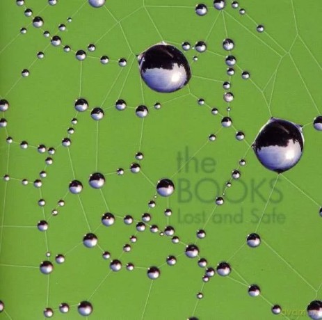 The Books: Lost And Safe (Reissue) [CD]