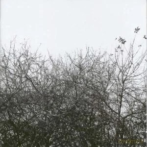 Simon Joyner: Lost With The Lights On [CD]