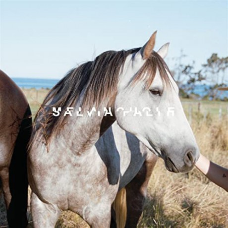 Salvia Palth: Melanchole [CD]