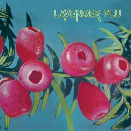 Lavender Flu: Mow The Glass [CD]