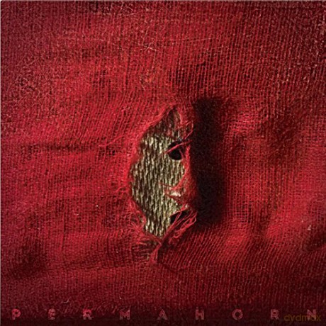 Permahorn: My Blood Carries My Dreams Away [CD]