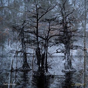Nathan Bowles: Nansemond [CD]