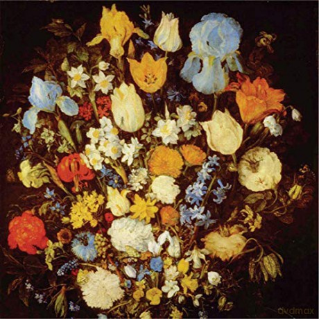 Young Moon: Navigated Like The Swans [CD]