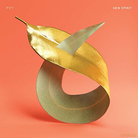 Pvt: New Spirit [CD]