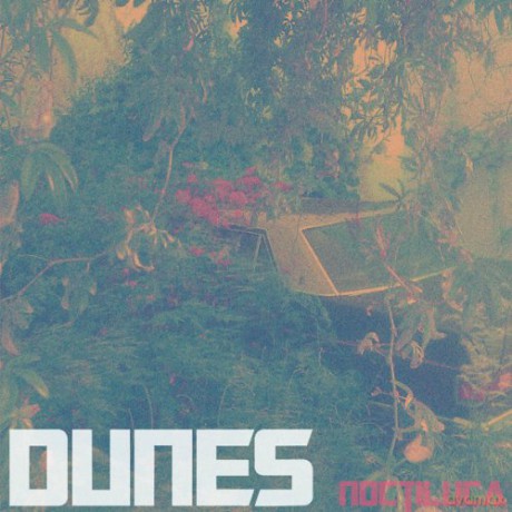 Dunes: Noctiluca [CD]