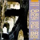 Forever Einstein: Opportunity Crosses The Bridge [CD]