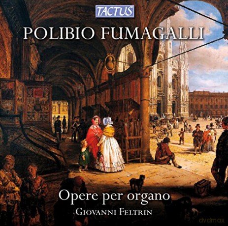 Giovanni Feltrin: Organ Works [CD]