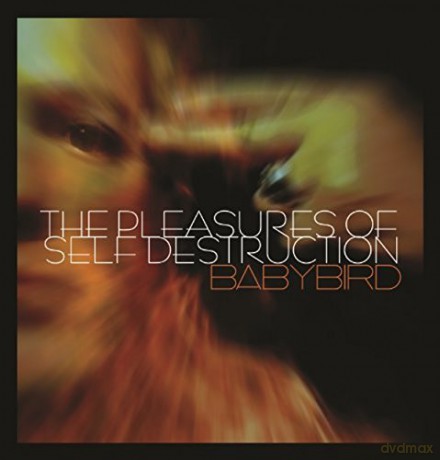 Babybird: Pleasures Of Self Destruction [CD]
