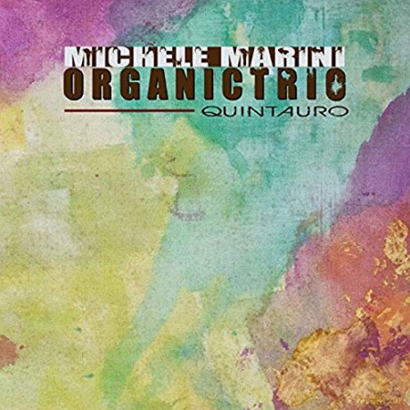 Michele Marini Organ: Quintauro [CD]