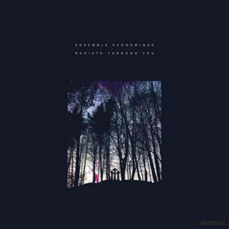 Ensemble Economique: Radiate Through You [CD]