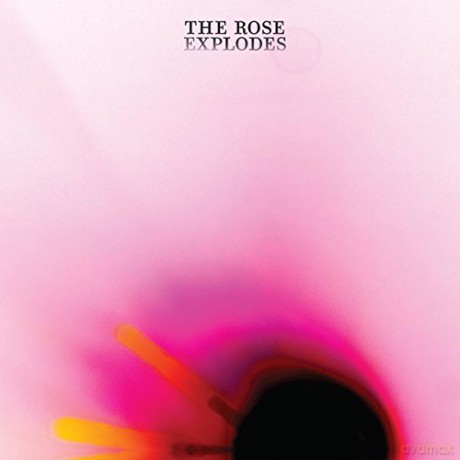 Dream Boat: Rose Explodes [CD]