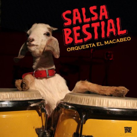 Orquesta El Macabeo: Salsa Bestial [CD]