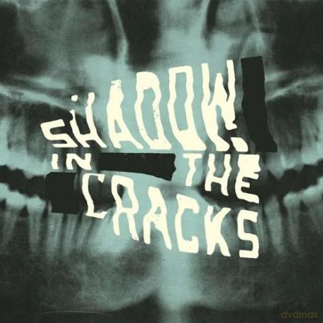Shadow in the Cracks: Shadow In The Cracks [CD]