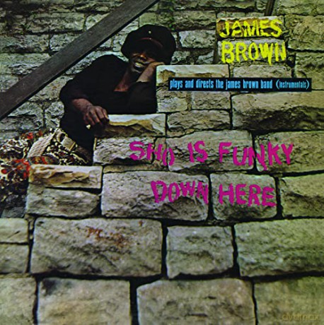 James Brown: Sho Is Funky Down Here [CD]