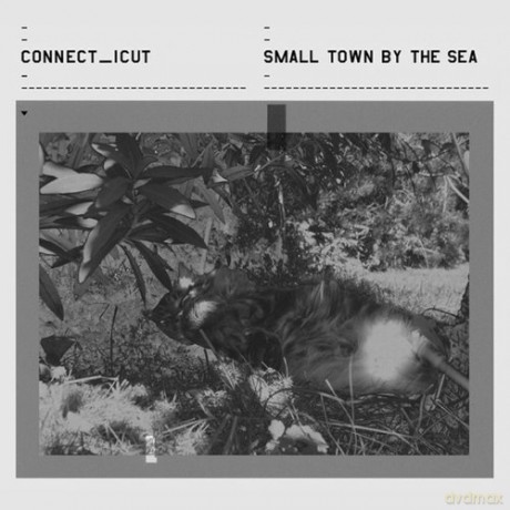 Connecticut: Small Town By The Sea [CD]