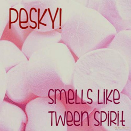 Pesky: Smells Like Tween Spirit [CD]