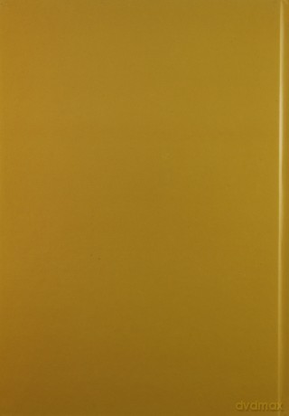 Słoma - energetyczne paliwo - dr Piotr Gradziuk, dr Anna Grzybek, mgr Krzysztof Kowalczyk [KSIĄŻKA]