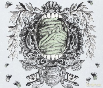 Beesting Lips: Songs To And From The Iron Gut [CD]