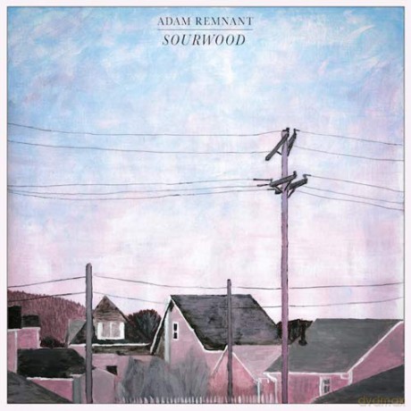 Adam Remnant: Sourwood [CD]