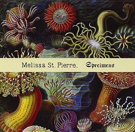 Melissa St. Pierre: Specimens [CD]