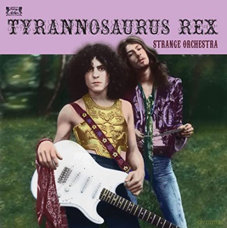 Tyrannosaurus Rex: Strange Orchestra [2CD]