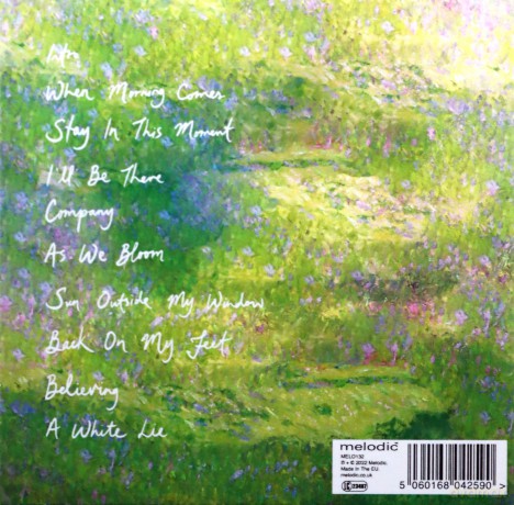 Strawberry Guy: Sun Outside My Window [CD]