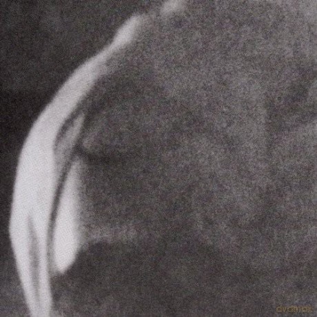 Heavy Winged: Sunspotted [CD]