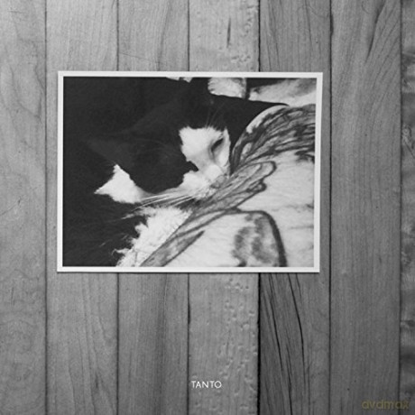 Bvdub: Tanto [CD]