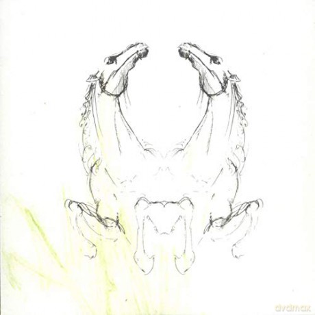 My Brightest Diamond: Tear It Down [CD]