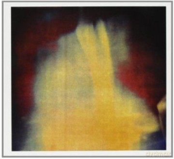 Maurizio Bianchi: The Plain Truth [CD]