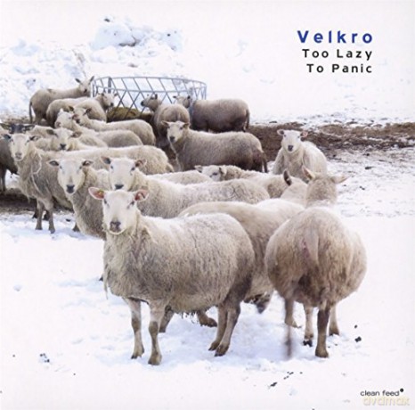 Velkro: Too Lazy To Panic [CD]