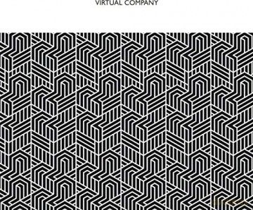 Virtual Company: Virtual Company [CD]