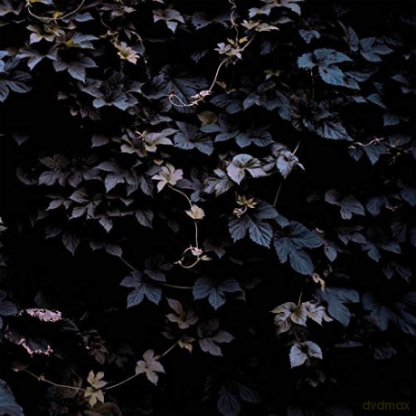 Vallera: Vivid Flu [CD]