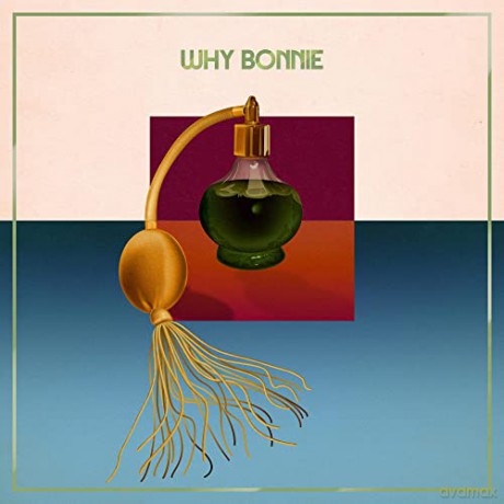 Why Bonnie: Voice Box [CD]