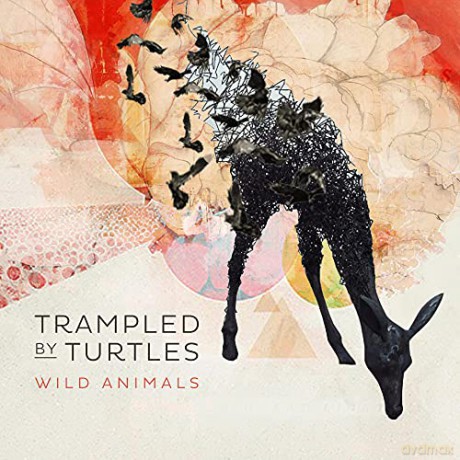 Trampled By Turtles: Wild Animals [CD]
