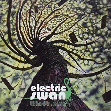 Electric Swan: Windblown [CD]